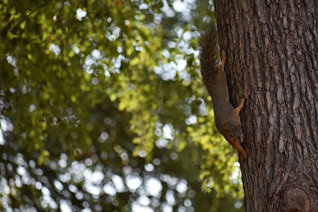 TA：勒沃库森的防守坚如磐石，曼城两侧防线存在巨大漏洞